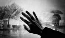 表示对婚姻失望的句子