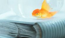 形容人不开心到开心的句子