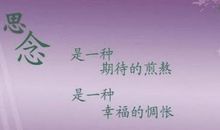 关于思念的优美句子