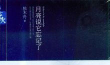 仿写月亮的话