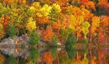 关于植树节的名言句子