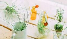 快乐和开心会传染的句子