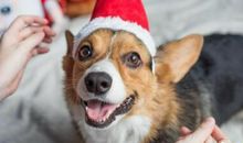 发抖音搞笑的句子 发抖音视频的幽默说说