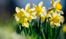 2020我想把生活过的精致的说说