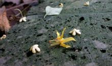 表示对男友很失望的句子