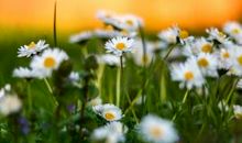 很开心的文艺句子