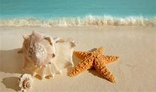 人和人不能比的说说 人与人不能攀比的句子