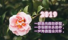 在新的一年里祝福语