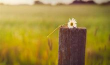 脚疼的不行发个说说 走路脚疼的幽默说说