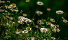 祝福别人要开心的句子有哪些