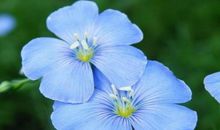 发给美女周末问候短信