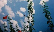 从失落到开心的句子