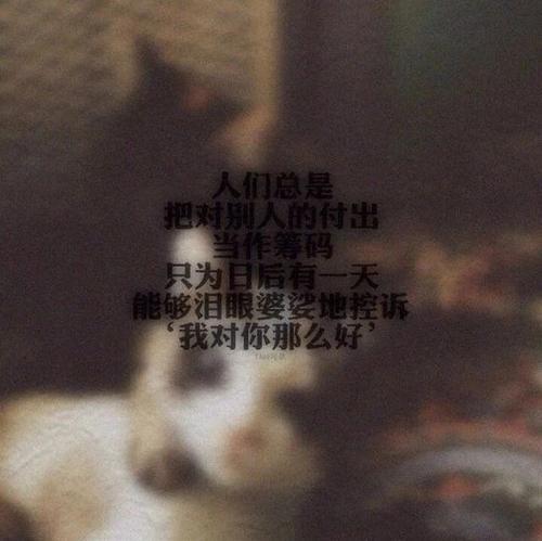 以下是令人心碎的英文句子