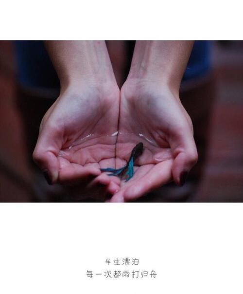 谁为谁苦恼