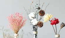 有关亲情的句子的故事