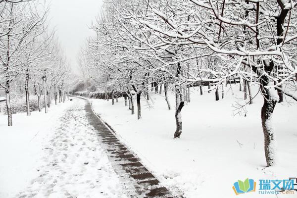 指南：每个人对雪都不陌生