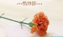 2020关于描写老师的句子