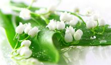 亲情人生哲理的句子说说心情短语