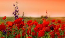 立冬客户问候短信