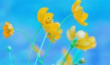 一句足以打动人心的离别的话