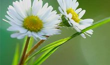 让心归零从新开始的说说