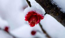 最经典心痛的句子说说心情短语