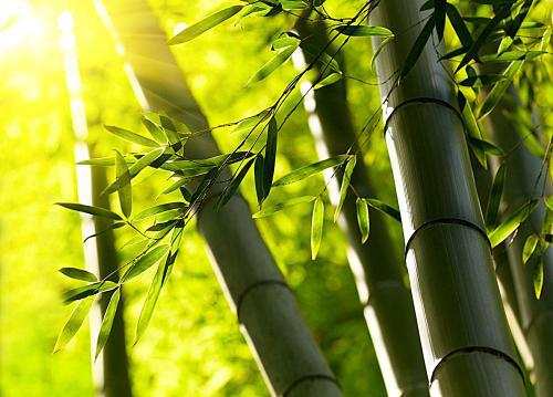 编辑编辑了一些关于家庭和陪伴的漂亮句子