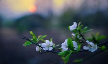 开心心态好的句子