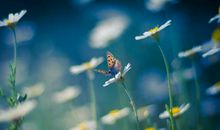 生下龙凤胎适合发朋友圈的说说