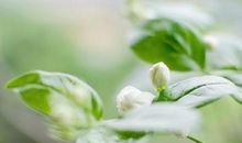 心烦的说说句子想静静