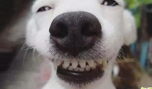 光棍节可爱说说句子 发快手的光棍节搞笑句子