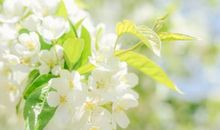 周末祝福短信2018