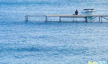 五一节的问候信息 适合五一群发的祝福短信