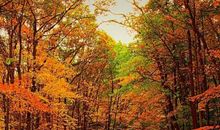 决定了就不后悔的句子