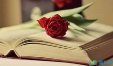 关于心情放松的句子