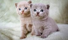 微信逗女生开心的句子说说心情