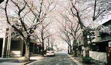 感悟生活不易的句子