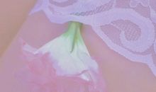 独爱一人的霸气句子 表达只爱一个人的浪漫说说