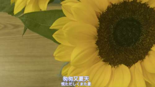 大家都知道心态的重要性