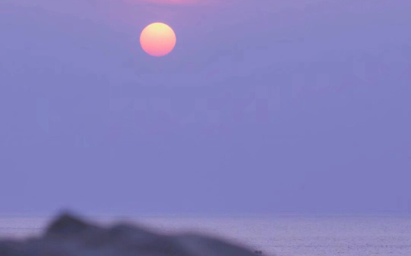 你和夜风