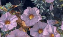 吸引朋友圈的唯美句子大全 很经典走心的唯美句子说说