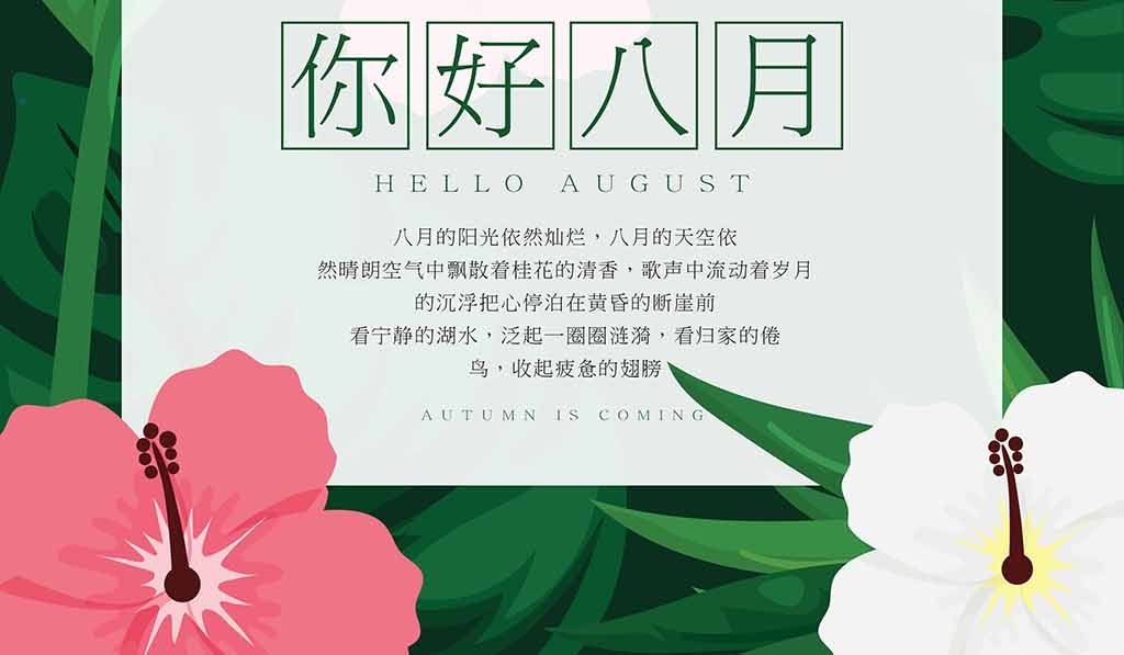 你好八月