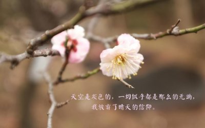 
被爱伤害后