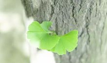 七月最后一天的说说 7月最后一天的励志说说