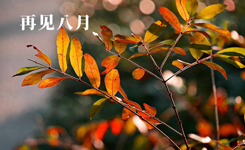 1、九月