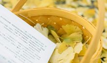 关于开心的说说句子 开心正能量说说句子