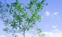 聚会很开心的句子 开心一聚的心情短语