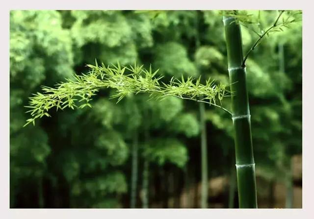 生活的起伏，生活的感觉
