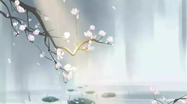 生活起伏的感觉生活中的喜悦，愤怒，悲伤和快乐的感觉1