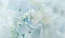 亲情简短的句子大全